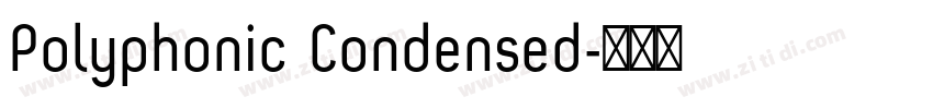 Polyphonic Condensed字体转换